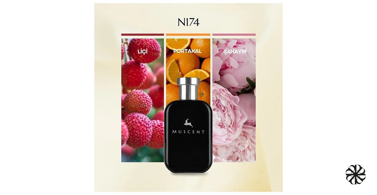 N174 Muscent