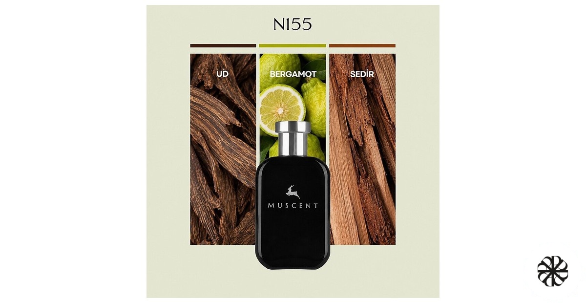 N155 Muscent