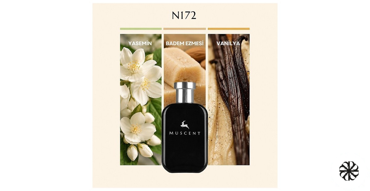 N172 Muscent
