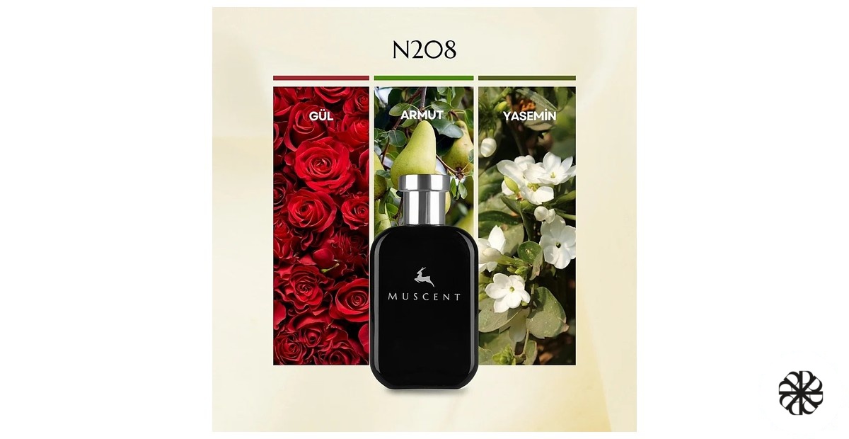 N208 Muscent