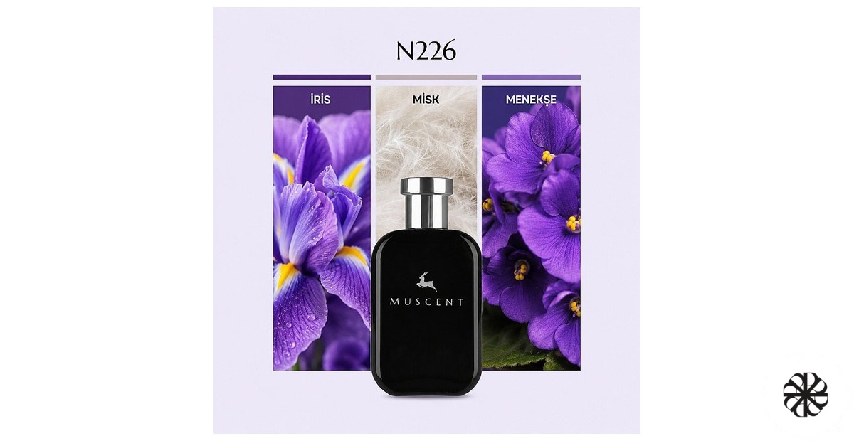 N226 Muscent