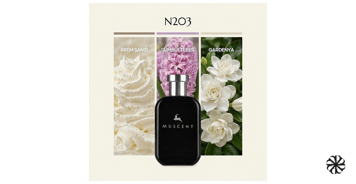 N203 Muscent