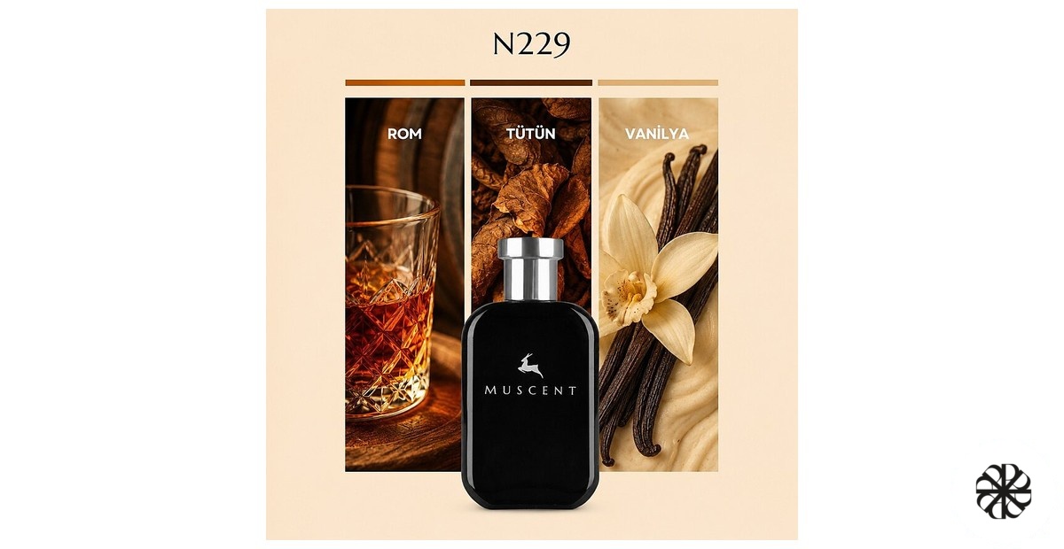 N229 Muscent