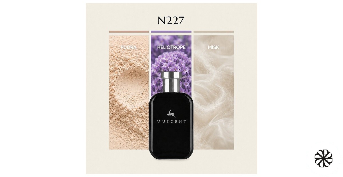N227 Muscent