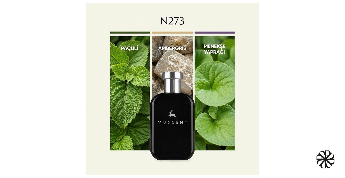 N273 Muscent