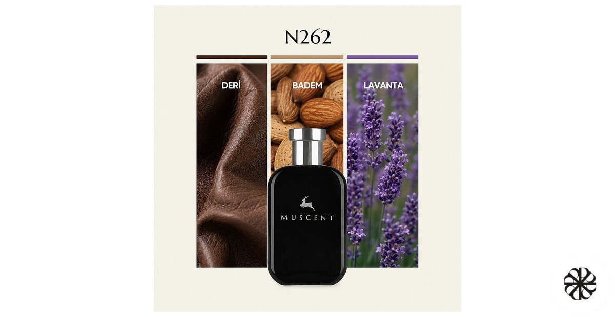 N262 Muscent