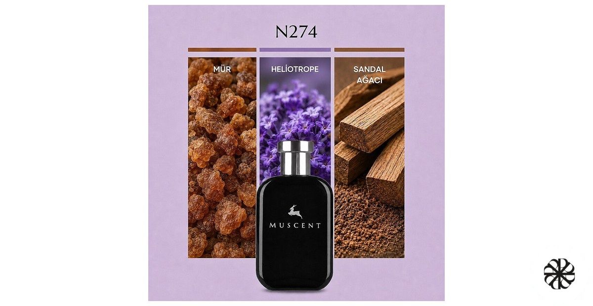 N274 Muscent