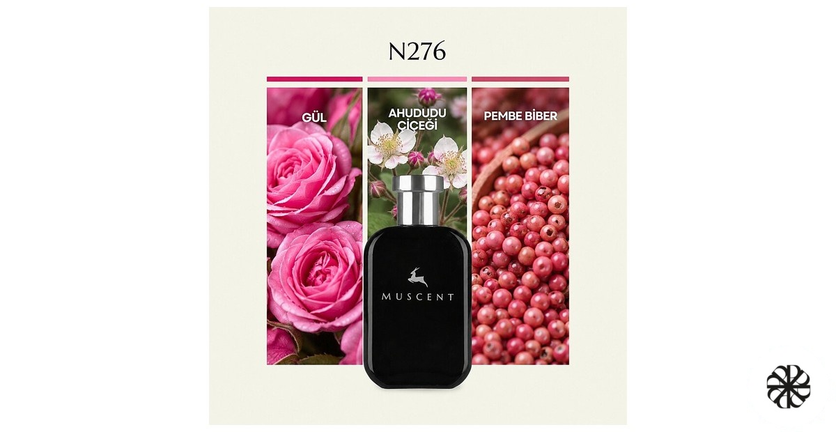 N276 Muscent