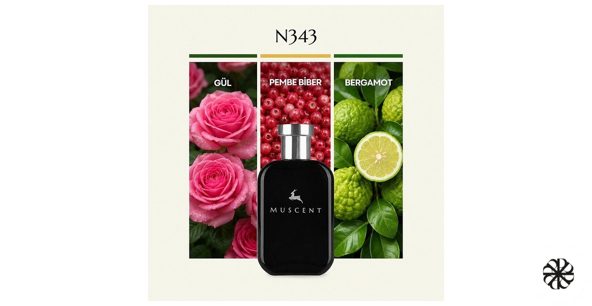 N343 Muscent
