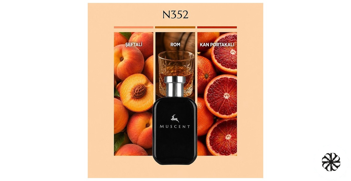 N352 Muscent