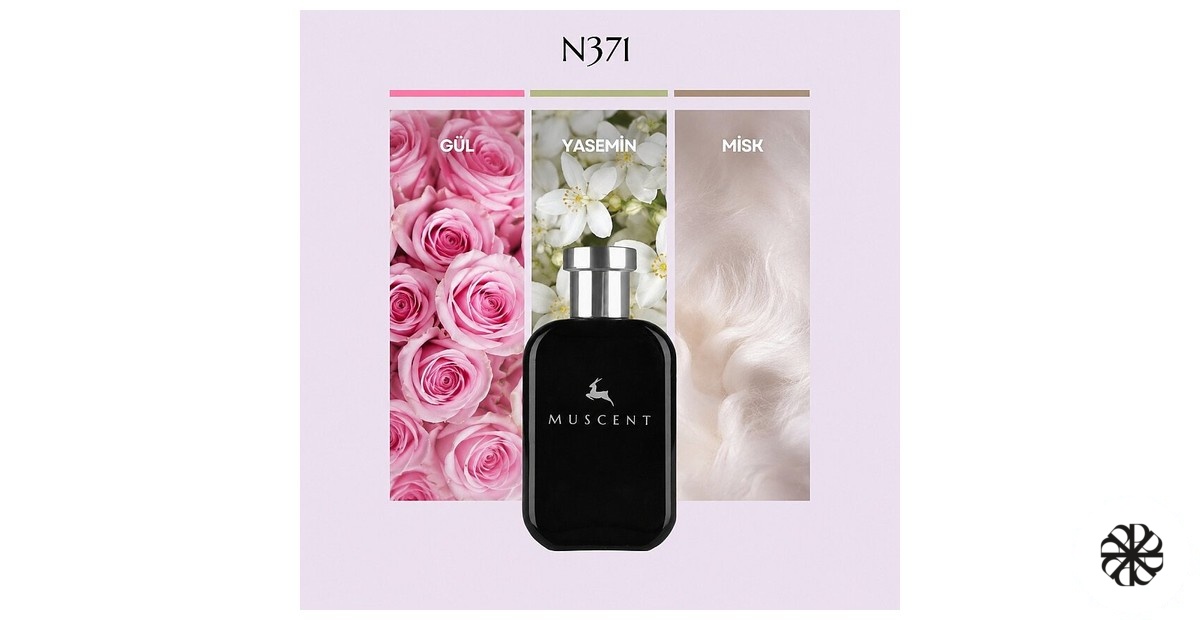 N371 Muscent