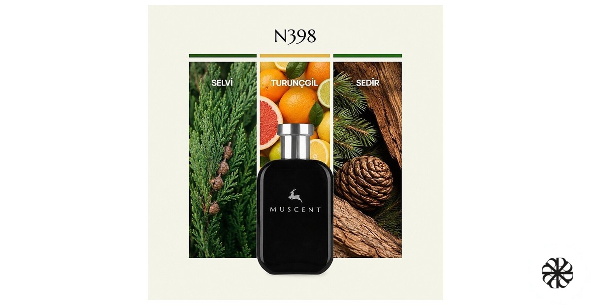 N398 Muscent
