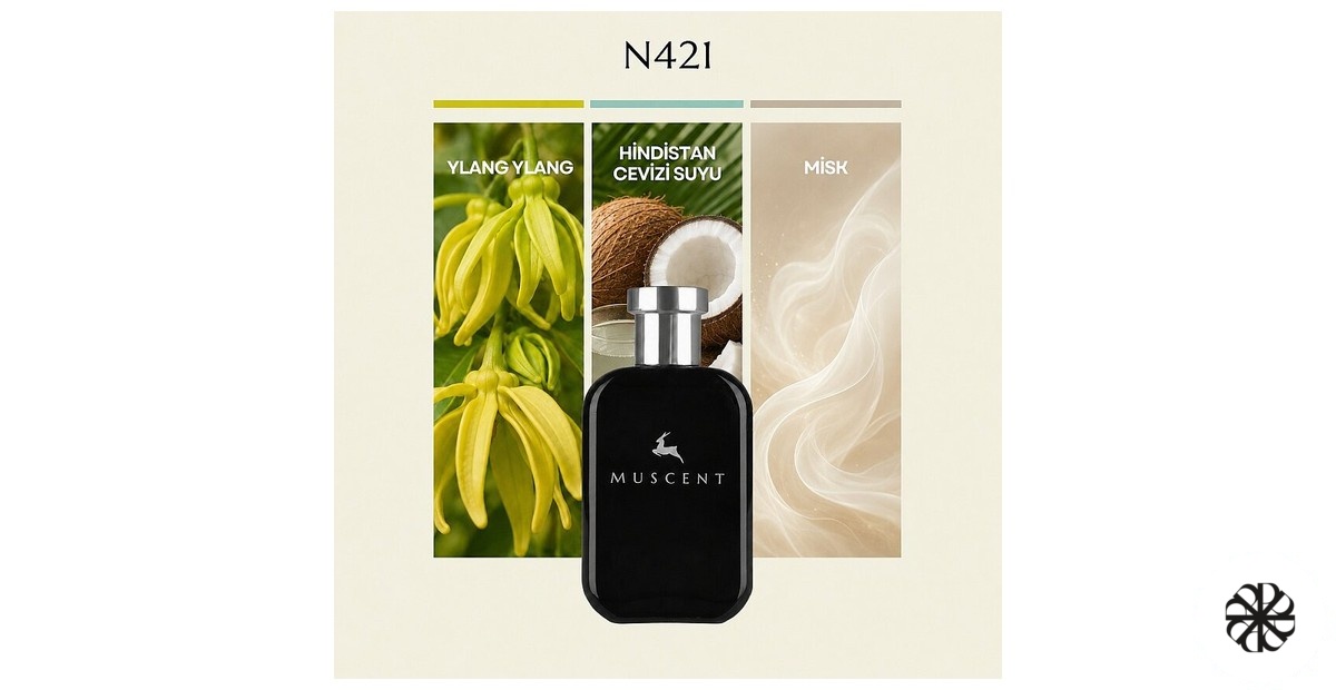 N421 Muscent