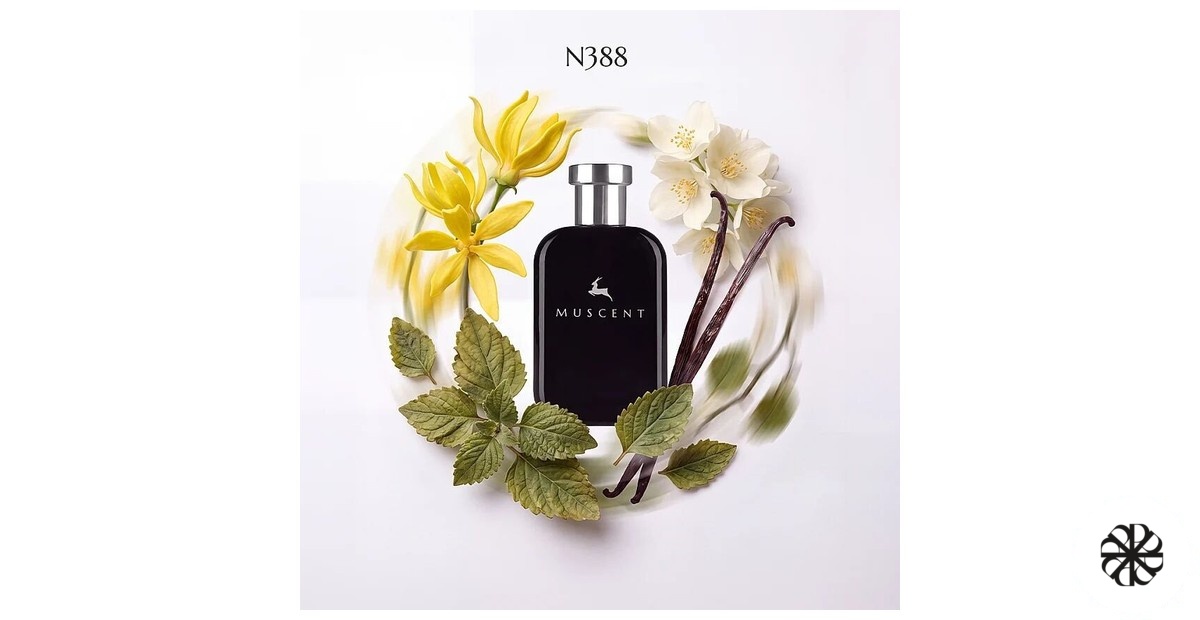 N388 Muscent