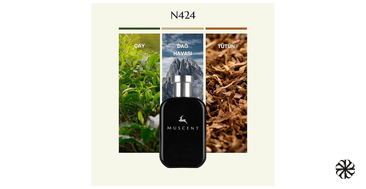 N424 Muscent