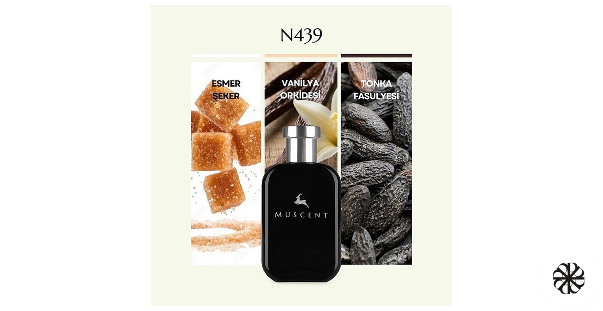 N439 Muscent