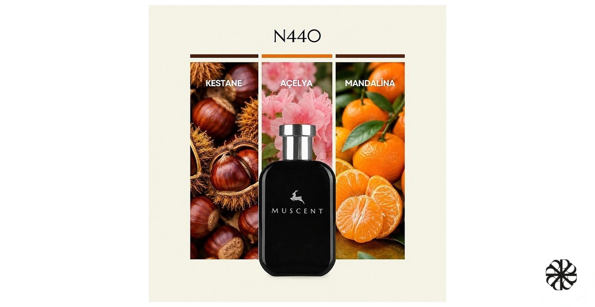 N440 Muscent