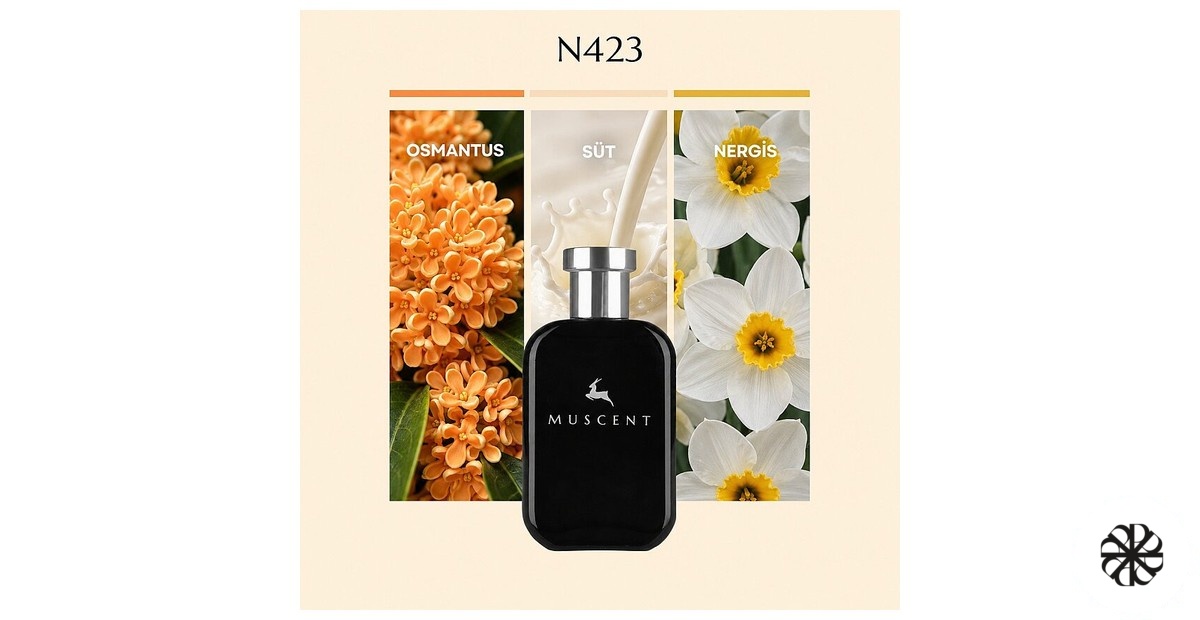 N423 Muscent