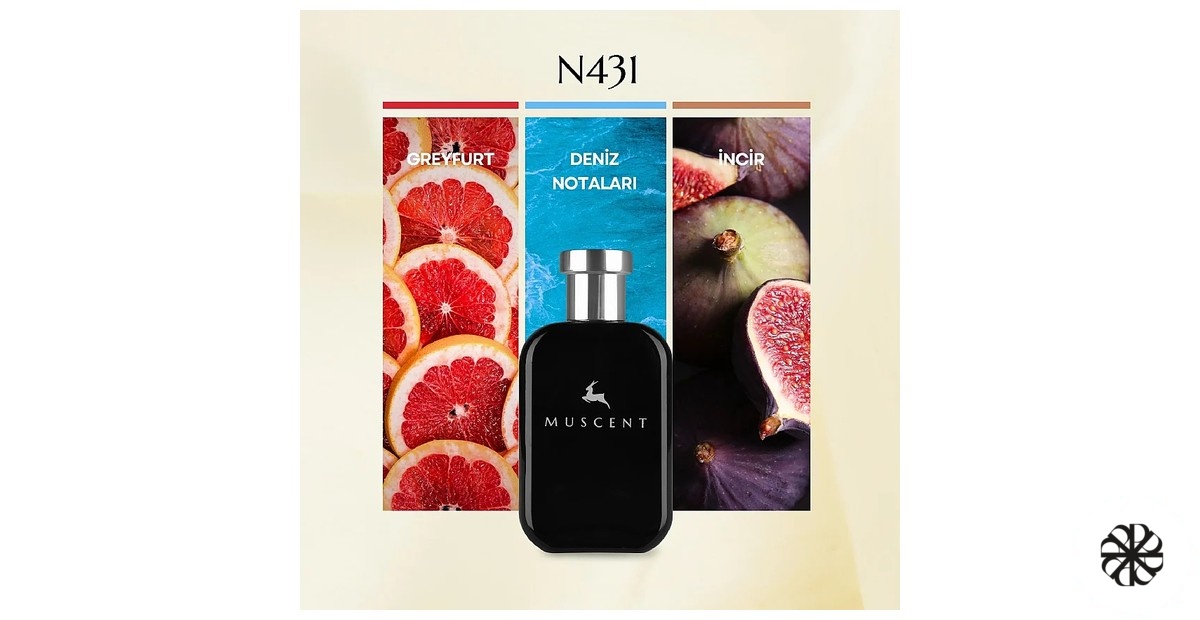 N431 Muscent