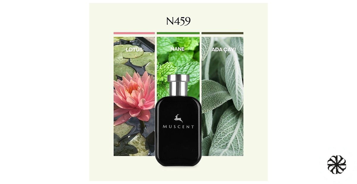 N459 Muscent
