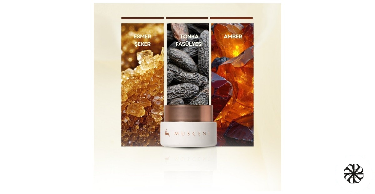 Vanilla Fairy Solid Perfume Muscent