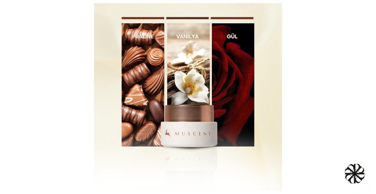 Oriental Wave Solid Perfume Muscent