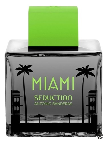 Miami Seduction In Black Antonio Banderas