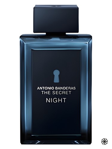 The Secret Night Antonio Banderas