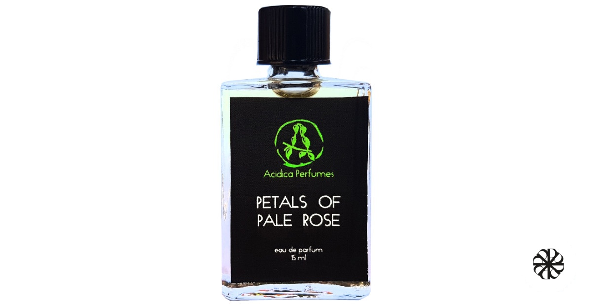 Petals of pale rose Acidica Perfumes
