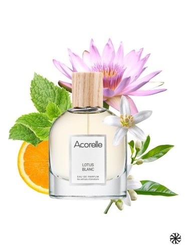 Lotus Blanc Acorelle