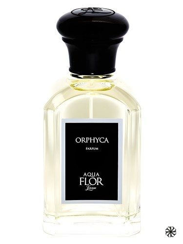 Orphyca Aquaflor Firenze