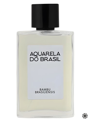 Bambu Brasiliensis Aquarela do Brasil