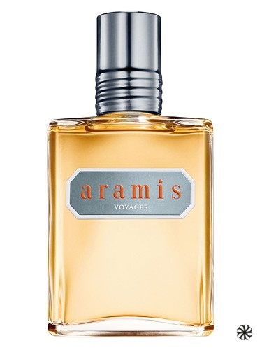 Voyager Aramis