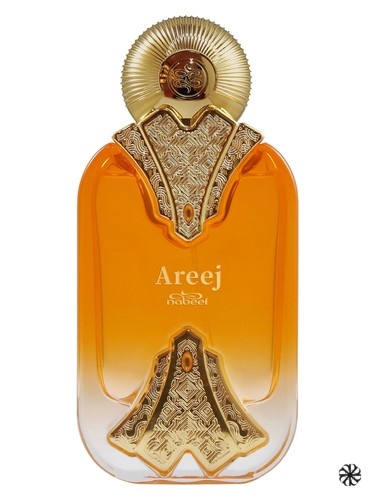 Areej Nabeel