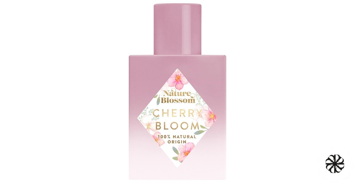 Cherry Bloom Nature Blossom