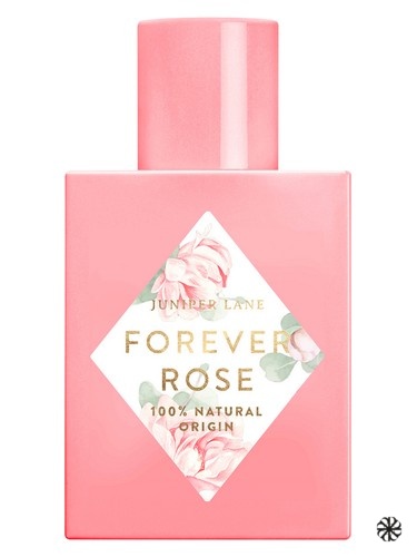Forever Rose Nature Blossom