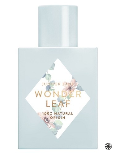 Wonder Leaf Nature Blossom
