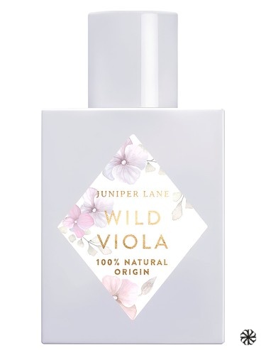 Wild Viola Nature Blossom