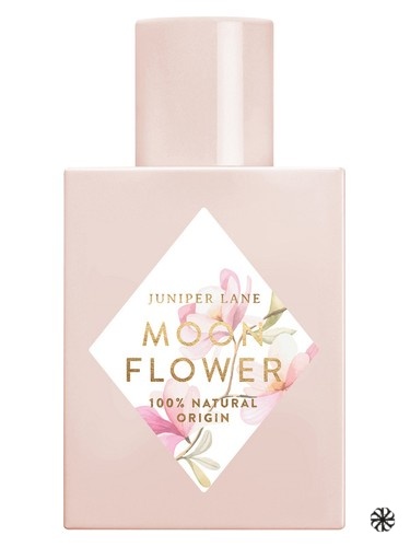 Moon Flower Nature Blossom