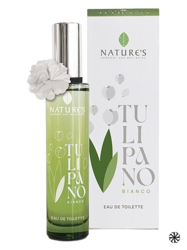 Tulipano Bianco Nature's