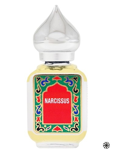 Narcissus Nemat International