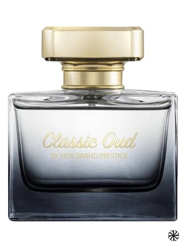 Classic Oud New Brand Parfums