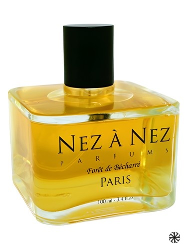 Foret de Becharre Nez a Nez