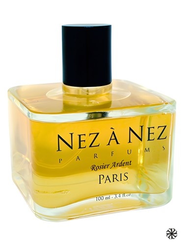 Rosier Ardent Nez a Nez