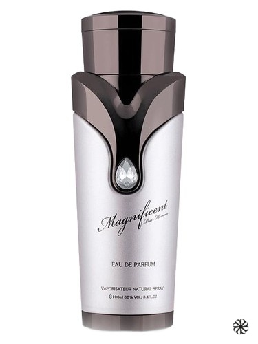 Magnificent Pour Homme Armaf
