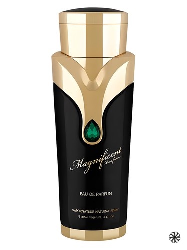 Magnificent Pour Femme Armaf