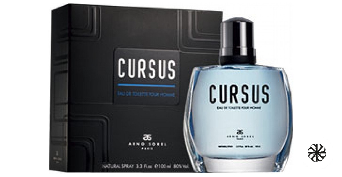 Cursus Arno Sorel