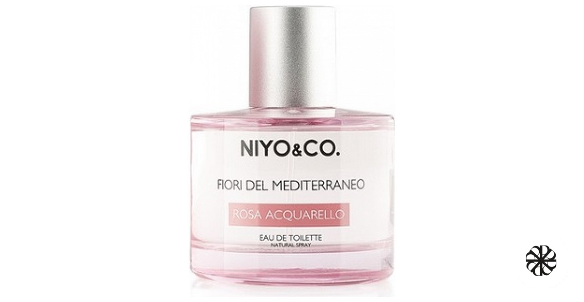 Rosa Acquarello NIYO&CO