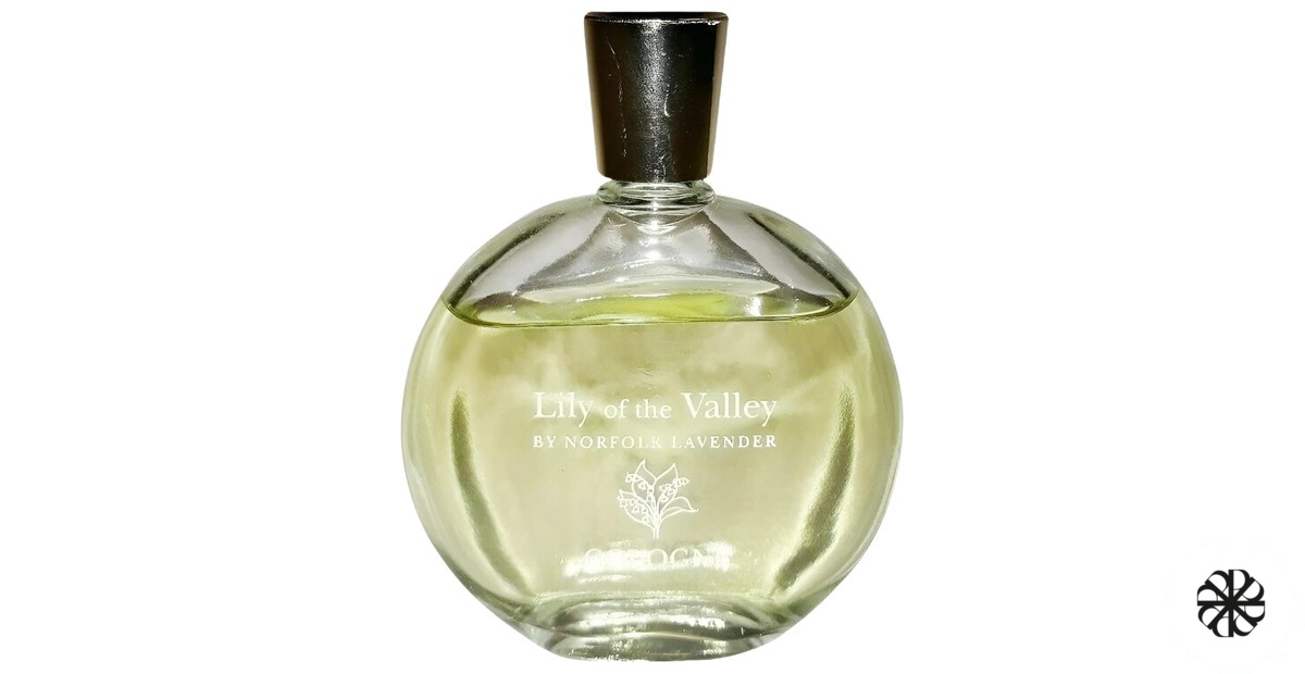 Lily of the Valley Norfolk Lavender