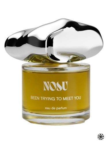 Been Trying To Meet You Nosu